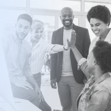 affordable redmineflux