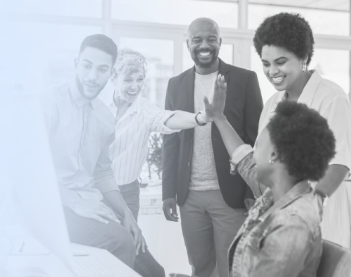 affordable redmineflux